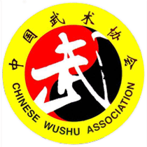 中国武术协会 武术地毯