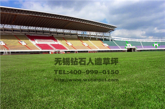 hjc黄金城地毯 人造草坪 足球场人造草坪