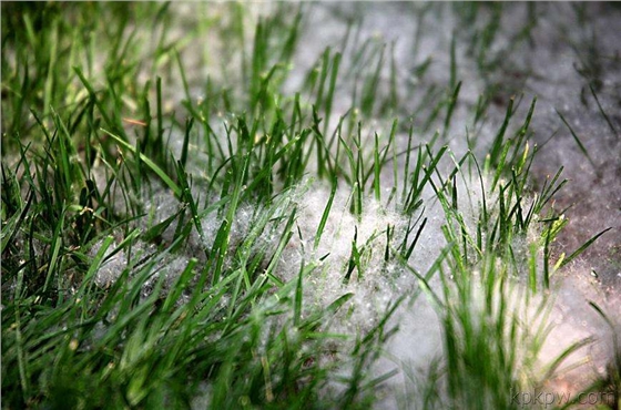 hjc黄金城地毯 人造草坪 除雪
