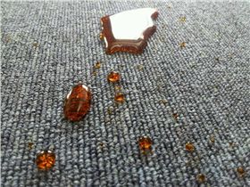 hjc黄金城地毯 污迹清理