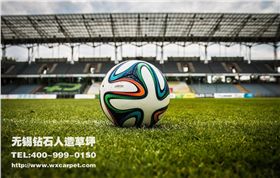 运动场人造草坪